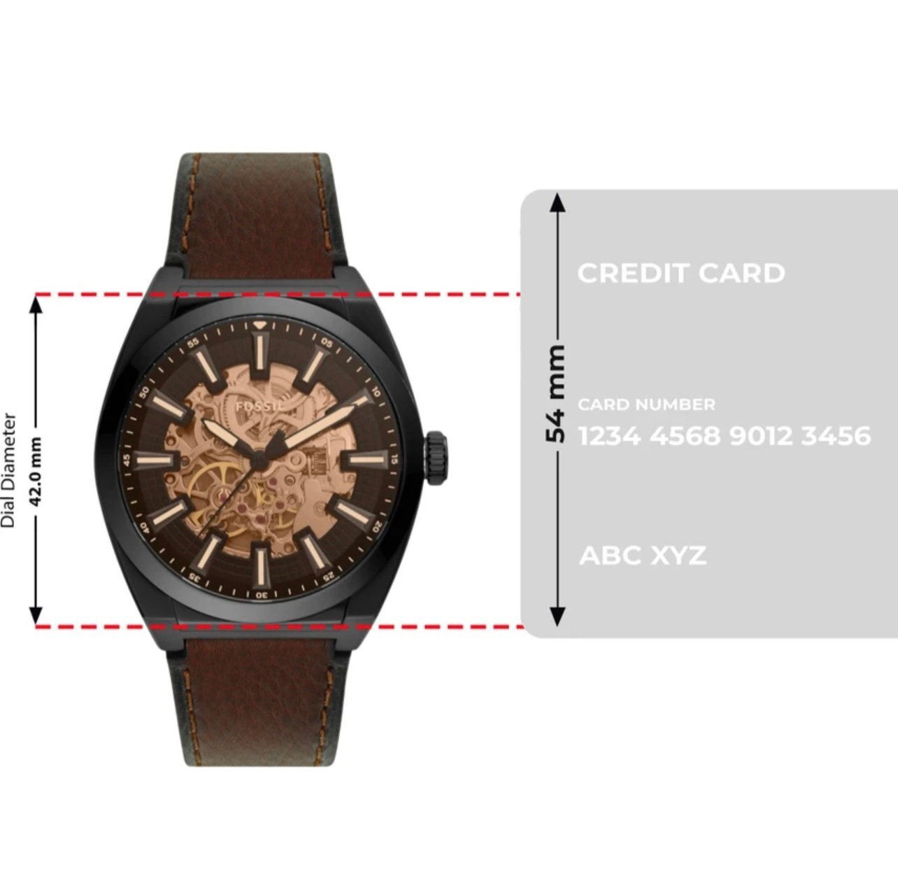 Fossil Everett